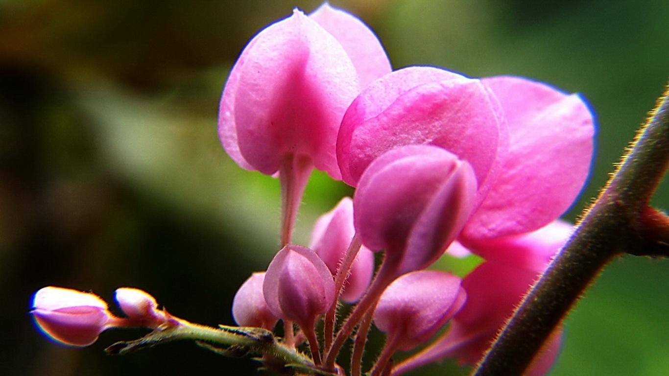 ky集团首页：
11月7日星座运势：一气呵成 稳操胜券的四大星座(图4)