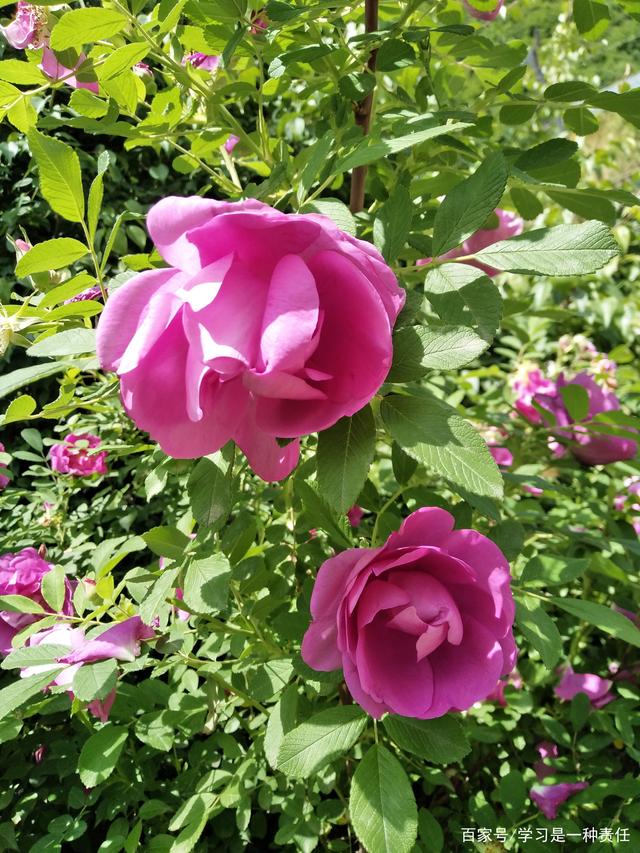 KY开元集团官网